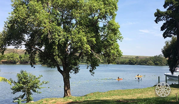 Paisagem tranquila à beira de um rio, com árvores verdes e barcos em águas calmas sob céu azul em um dia ensolarado.