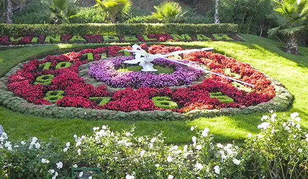 Relógio de flores colorido e bem cuidado em um jardim bem paisagístico, com árvores ao fundo, ideal para fotos e passeios ao ar livre. Viña del Mar o que fazer.