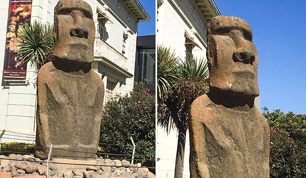 Estátuas de Moai em um ambiente ao ar livre ao lado de uma palmeira, com céu azul ao fundo, destacando-se pela sua aparência de rosto humano de pedra. Viña del Mar o que fazer.