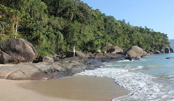 Praia com areia branca, águas cristalinas e ondas suaves, cercada por uma mata verde exuberante ao fundo, ideal para relaxar e curtir a natureza.