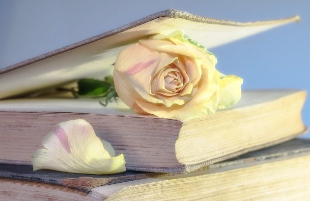 Livros para o bem-estar