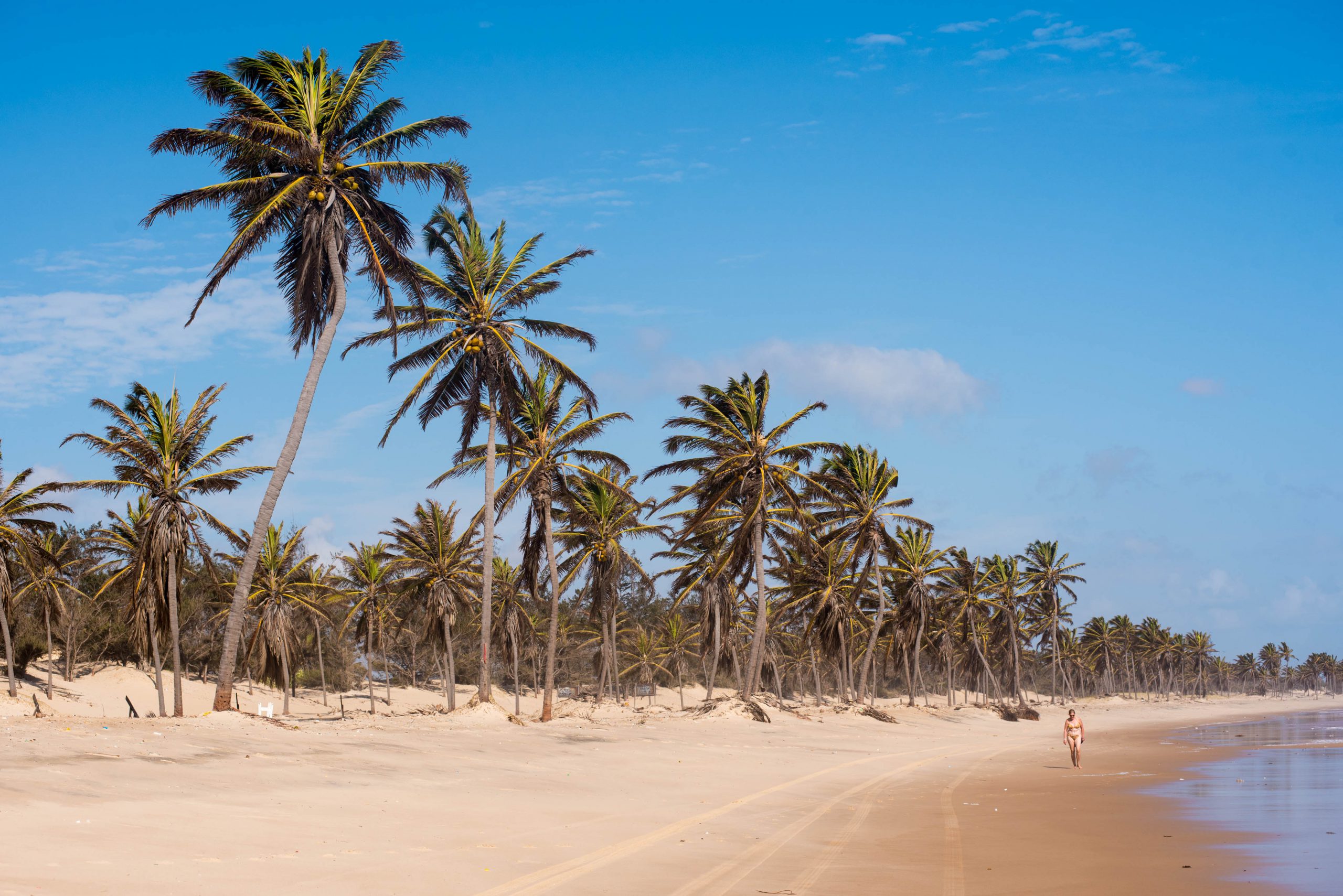 Litoral Cearense com praias entre dunas, lagoas e coqueirais