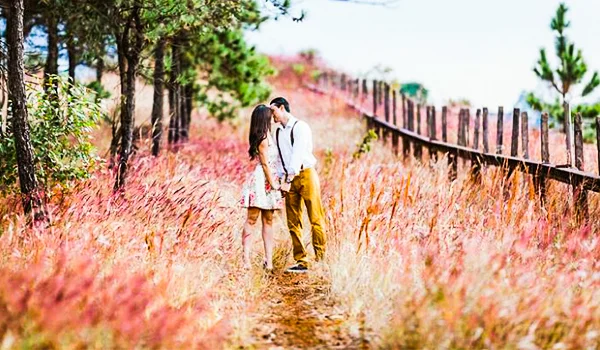 Casal se beijando em uma trilha cercada por vegetação e capim rosado, em uma paisagem rural arborizada.