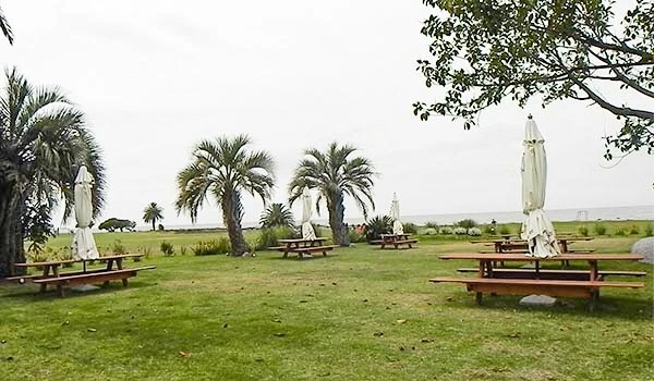 Área ao ar livre com gramado, coqueiros, mesas de piquenique e guarda-sóis, ideal para lazer e contato com a natureza.