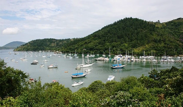 Vista panorâmica de barcos ancorados em uma baía rodeada de montanhas verdes, ideal para passeios de barco e turismo na natureza.