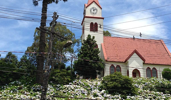 Imagem de uma igreja com torres e relógio, rodeada por árvores e flores brancas, em um dia com céu parcialmente nublado, destacando a arquitetura clássica.