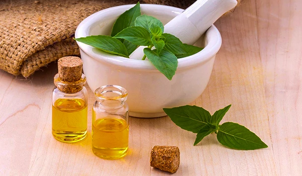 Imagem de frascos com óleos essenciais, um pilão e folhas de manjericão, ideal para quem busca aromaterapia e cuidados naturais, usado em SPAs de Araxá.