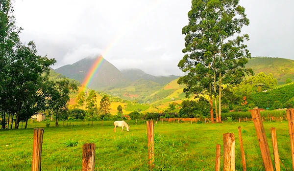 Paisagem verde com montanhas e arco-íris, um cavalo branco pastando e árvores ao fundo em um dia ensolarado nos campos de Minas Gerais.