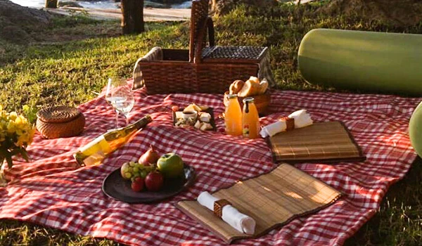 Um piquenique encantador ao ar livre com uma toalha xadrez, cestas de piquenique, frutas frescas e bebidas, perfeito para momentos de lazer e descontração em dias ensolarados.