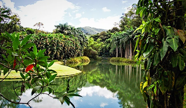 Foto de Inhotim, com vista tranquila de um lago cercado por vegetação exuberante, com reflexos na água e palmeiras ao fundo, ideal para relaxamento e contemplação da natureza.