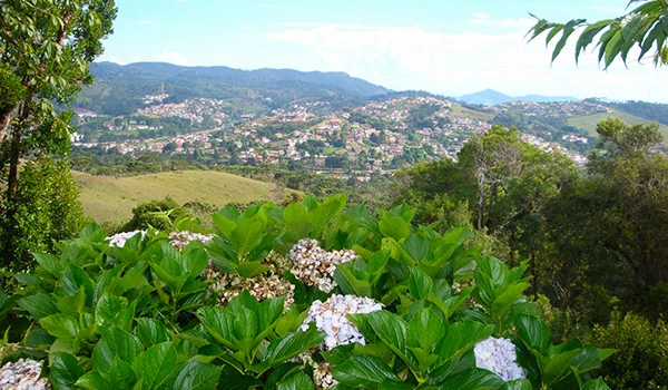 Linda paisagem natural com flores e montanhas ao fundo, destacando um vale verde em uma região de Campos do Jordão. Um dos lugares baratos para Lua de Mel em SP.