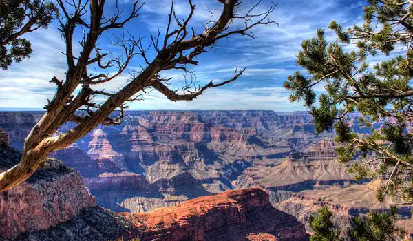 Vista panorâmica do Grand Canyon com céu azul, árvores e formação rochosa impressionante um dos maiores desfiladeiros do mundo.