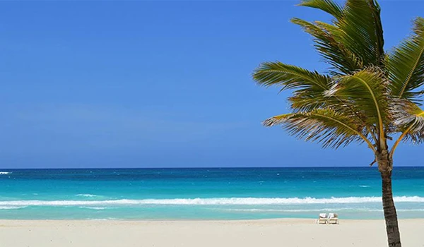 Praia paradisíaca com areia branca, água cristalina e coqueiro ao pôr do sol, ideal para descanso e lazer na natureza. Casamento e renovação de votos no exterior.