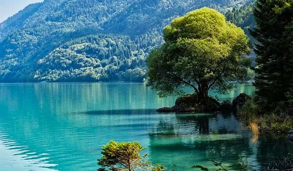 Lago de águas azul-turquesa cercado por montanhas e vegetação exuberante, com uma grande árvore às margens e seu reflexo visível na água.