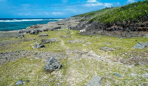 Foto de uma das praias selvagens com vegetação e pedras na Ilha Rodrigues.