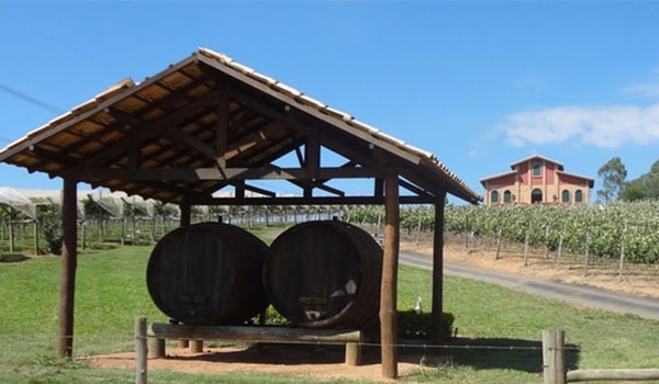 Louveira vinícolas e Turismo Rural