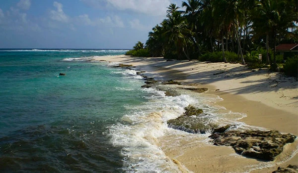 Praia tropical com areias claras, árvores de coqueiro e águas cristalinas, ideal para férias relaxantes no verão.