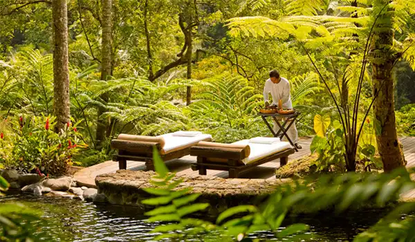 Homem relaxando em uma cabana na floresta, desfrutando da natureza ao redor. Ambiente tranquilo, ideal para descanso e conexão com a natureza.