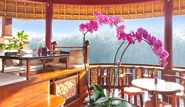 Vista de uma varanda de madeira com decoração de flores orquídeas, cadeiras e uma mesa, rodeada por uma paisagem natural exuberante ao fundo.