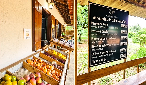 Imagem de um espaço ao ar livre com cesta de frutas, incluindo maçãs, e um painel de atividades no local de turismo em Sítio Sassafraz que oferece passeios a cavalo, a pé e alimentação de animais, ideal para quem busca atividades rurais e contato com a natureza.