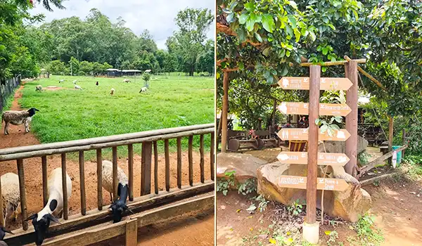 Imagem de uma fazenda com animais, árvores e uma placa de orientação ao lado de uma cruz feita de pedras, destacando a vida rural e o contato com a natureza.