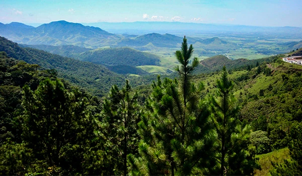 Paisagem de montanhas verdes exuberantes, com árvores ao primeiro plano e horizonte distante sob céu parcialmente nublado, destacando a beleza natural da região.  O que fazer em São Bento do Sapucaí.