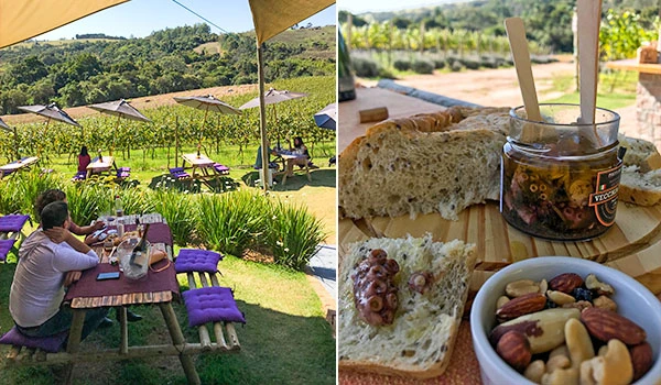 Imagem que mostra um ambiente de vinhedo com mesas e pessoas aproveitando um momento descontraído, ao lado de uma deliciosa tábua com pães e petiscos.