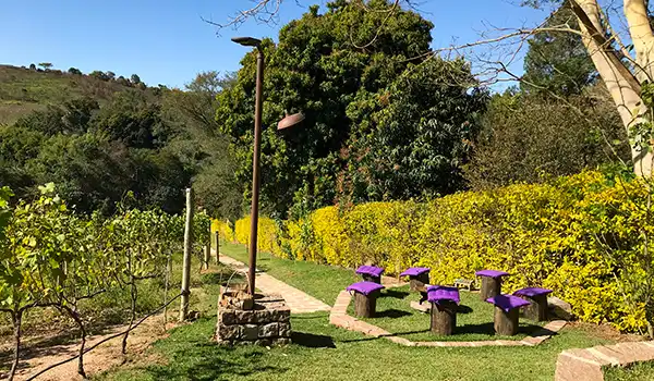 Vista de um ambiente cercado por vinhedos, com bancos coloridos e um espaço verde bem cuidado, ideal para relaxar na natureza.