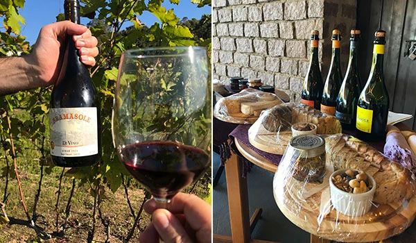 Vinho tinto e uma variedade de iguarias em mesa de degustação, ideal para harmonização com vinhos. Experiência gastronômica rica e sabores distintos.