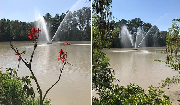 Vista do lago com fontes de água e flores vermelhas à beira do lago. Um ambiente natural tranquilo com vegetação e céu claro.