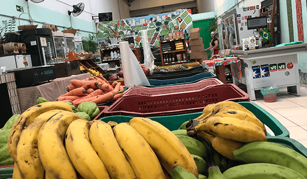 Foto de um armazém onde aparece banana madura e verde, cenoura, caixa de alimentos e balcão com funcionário.