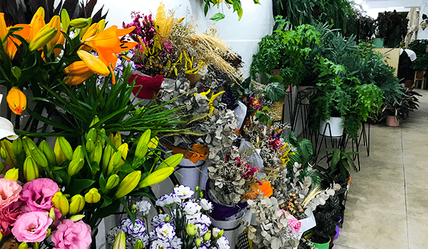 Foto de diversas flores coloridas da Blumenfee Floricultura, no bairro da Santa Cecília.
