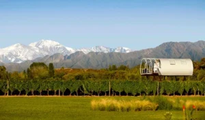 Vista panorâmica de vinhedos em Mendoza, Argentina, com montanhas nevadas ao fundo e uma construção moderna à beira da colheita.