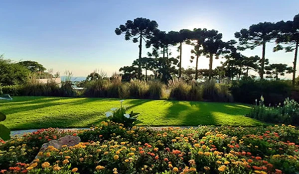 Cenário de jardim bem cuidado com flores coloridas, gramado verde, árvores altas ao fundo e céu claro, transmitindo tranquilidade e beleza natural. Natal em Campos do Jordão.