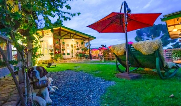 Imagem de um aconchegante espaço ao ar livre com áreas de convivência, uma cadeira de balanço com almofadas, guarda-sol vermelho, iluminação aconchegante, e um jardim bem cuidado, ideal para lazer e relaxamento. Natal em Campos do Jordão.