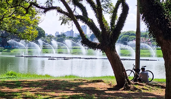 Imagem de um parque com árvores, um lago e fontes d'água, refletindo uma paisagem tranquila e natural, ideal para relaxar e aproveitar a natureza ao ar livre.