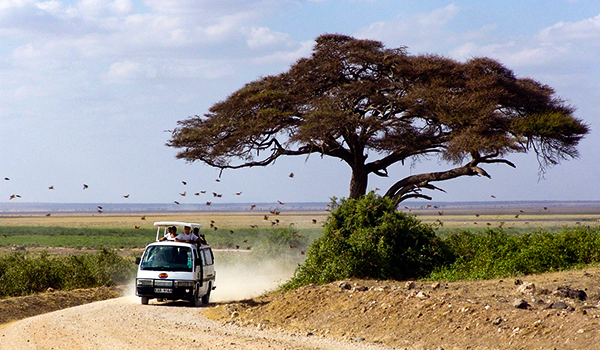 Viagem com Safáris no Kenya