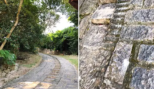 Caminho de pedras rústicas entre vegetação exuberante, destacando características naturais e tranquilidade em um ambiente relaxante na Vinícola Chão de Pedra.