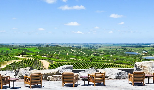 Vista panorâmica de um vinhedo com cadeiras na varanda, aproveitando um belo dia de céu azul com algumas nuvens suaves. Ideal para turismo rural e enoturismo em Punta del Este.