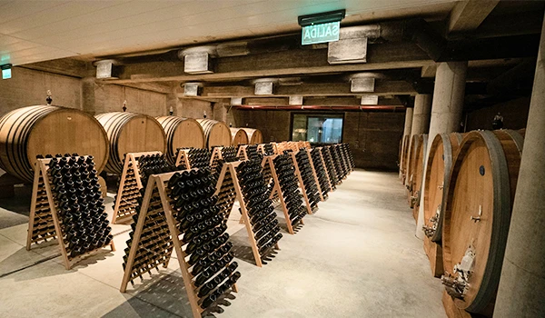 Sala de adega com barris de vinho no teto e muitos suportes para garrafas de vinho, criando um ambiente elegante para armazenamento de bebidas.