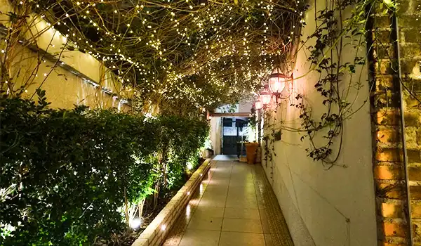 Caminho decorado com luzes natalinas e plantas verdes em ambiente externo, criando um clima acolhedor e festivo para celebrações ou momentos especiais.