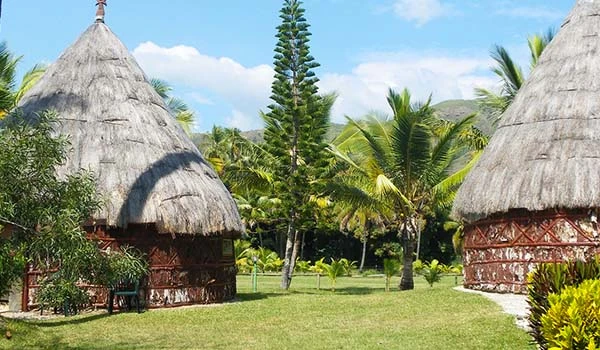 Imagem de quecas ou casas tradicionais feitas de palha em uma área verde com muitas árvores de coco ao redor, sob um céu azul claro.