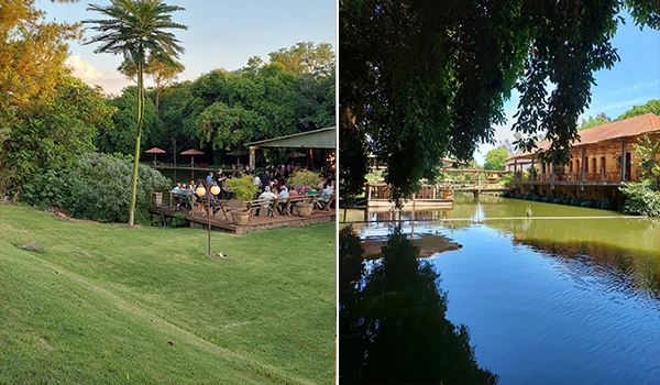 Imagem de um ambiente ao ar livre com áreas verdes, árvores e um lago, ideal para passeios e atividades de lazer na natureza. Um local para Mini Wedding em São Paulo.