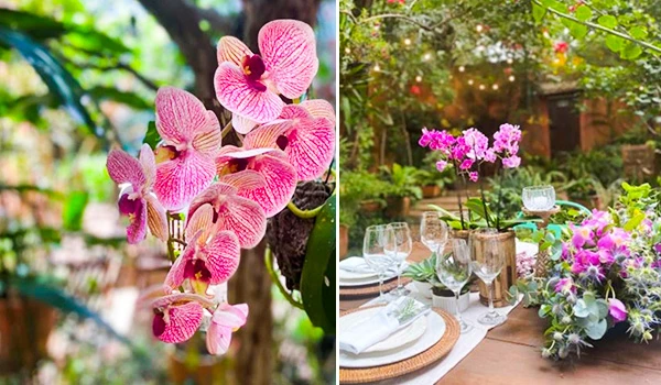 Imagem de orquídeas rosas e uma mesa decorada com flores, pratos e copos em um ambiente ao ar livre, ideal para decoração com flores para um Mini Wedding em São Paulo.