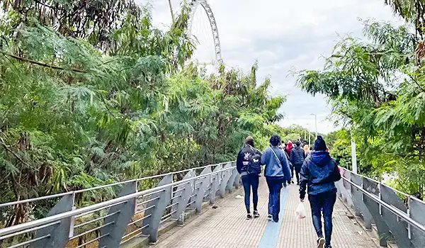 Grupo de pessoas caminhando em uma ponte de passarela, cercada por árvores verdes, em um ambiente ao ar livre, em um dia nublado, desfrutando de uma caminhada na natureza.