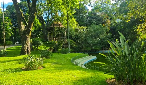 Jardim arborizado e bem cuidado, com gramado verde, árvores frondosas, vegetação tropical e um pequeno lago sinuoso cercado por uma grade baixa. Ao fundo, há estruturas de madeira parcialmente escondidas pela vegetação. Visita ao Palácio da Liberdade.