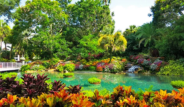 Foto do bonito jardim e lago do SeaWorld, um dos parques temáticos.