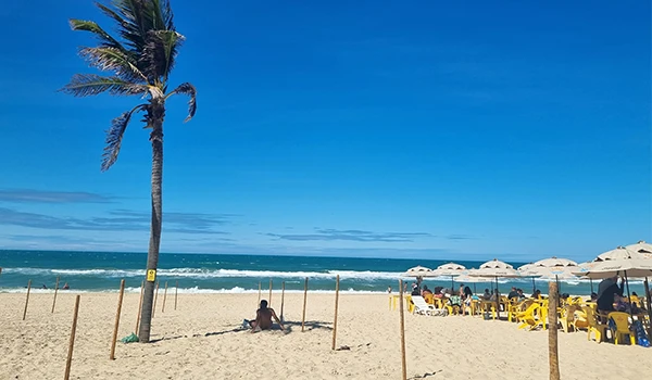 Praia de areia com guarda-sóis de palha e uma palmeira ao fundo, cenário perfeito para aproveitar o verão sob o sol.