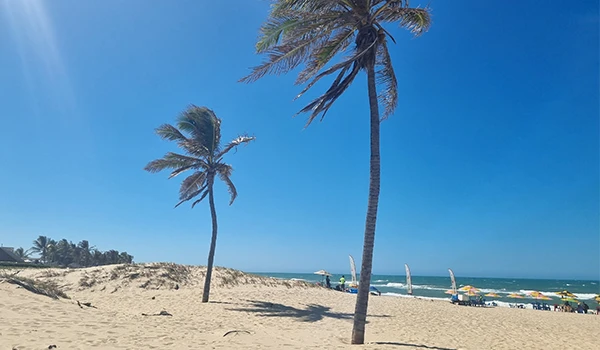 Praia com coqueiros sob céu azul claro e mar ao fundo, ambiente de verão e lazer na orla.