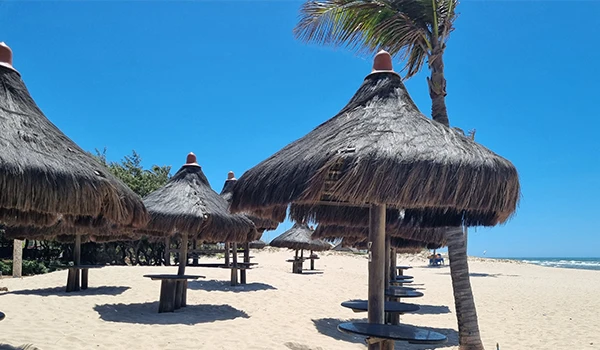 Praia de areia com guarda-sóis de palha e uma palmeira ao fundo, cenário perfeito para aproveitar o verão sob o sol.